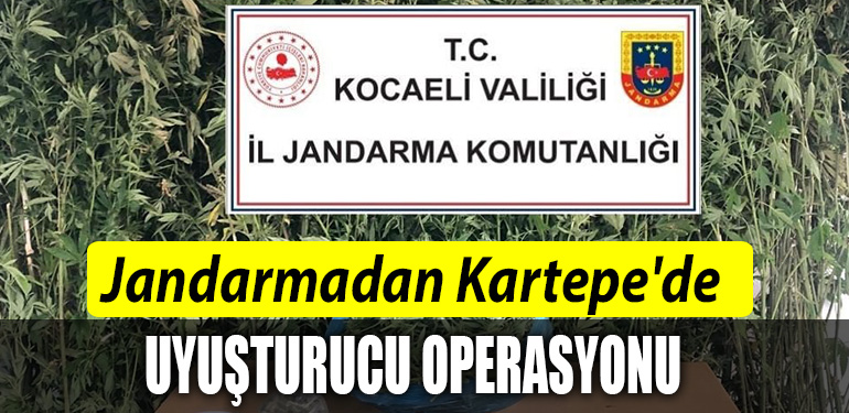 KARTEPE JANDARMA UYUSTURUCU