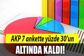 akp anket