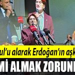 aksener erdogan