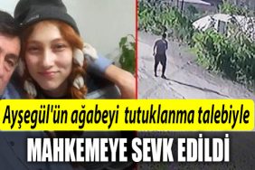aysegul agabeyi jilet