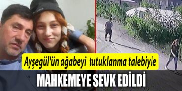 aysegul agabeyi jilet