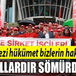 belediyee