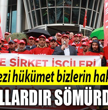 belediyee