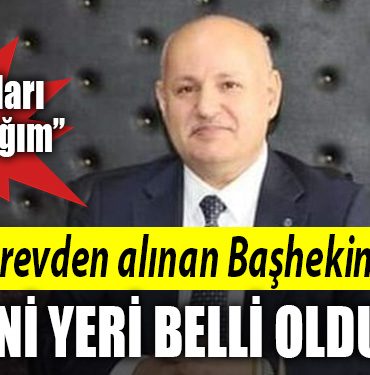 darica mustafa gunes