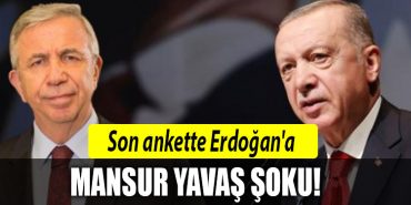 erdogan anket
