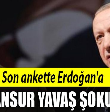 erdogan anket
