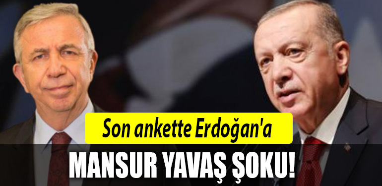 erdogan anket