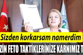 fatma kaplan hurriyet akp feto