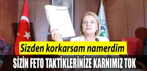 fatma kaplan hurriyet akp feto