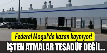 federal mogul kocaeli