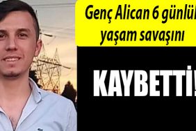 kocaeli alican