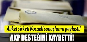 kocaeli anket sonuclari