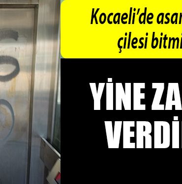 kocaeli asansor