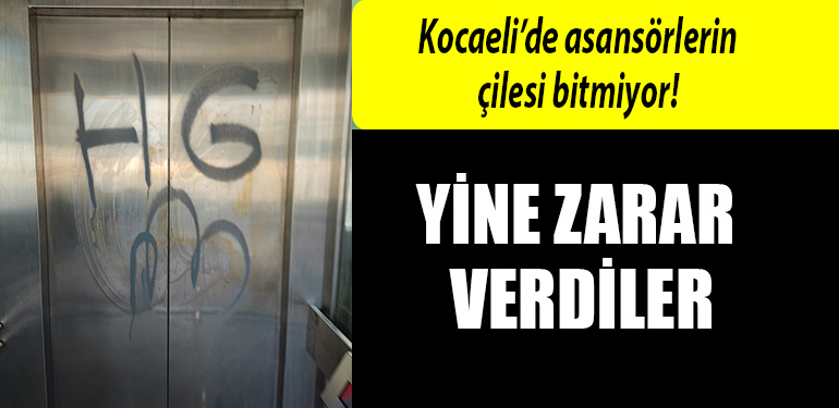 kocaeli asansor