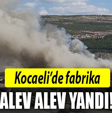 kocaeli fabrika yangini