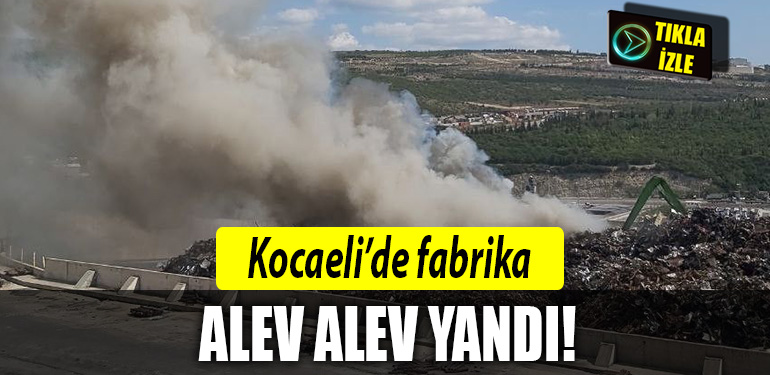 kocaeli fabrika yangini