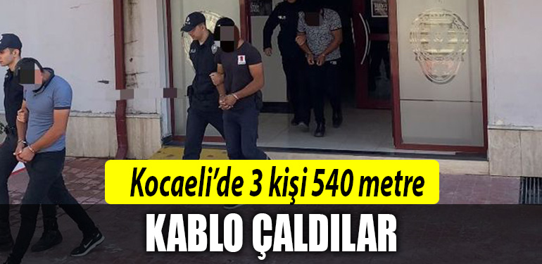 kocaeli hirsiz