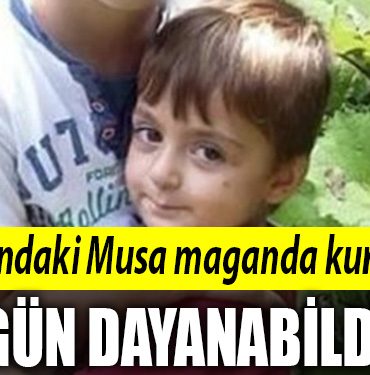 kocaeli musa mermi