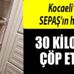 kocaeli sepas