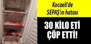 kocaeli sepas