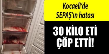 kocaeli sepas