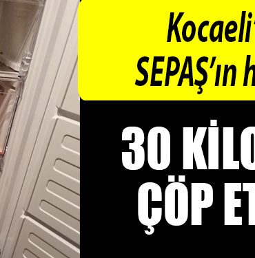 kocaeli sepas