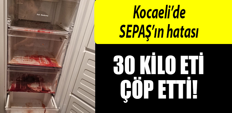 kocaeli sepas