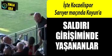 kocaelispor engin koyun saldiri