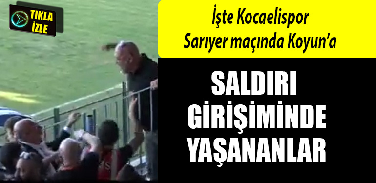 kocaelispor engin koyun saldiri