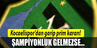 kocaelispor prim