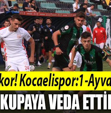kocaelissfds