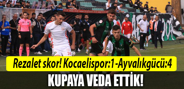 kocaelissfds