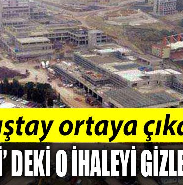 korkusuz yeni