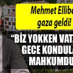 mehmet ellibes