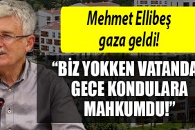 mehmet ellibes