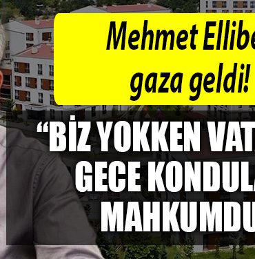 mehmet ellibes