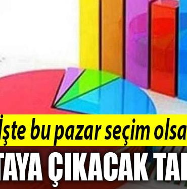 secim anket