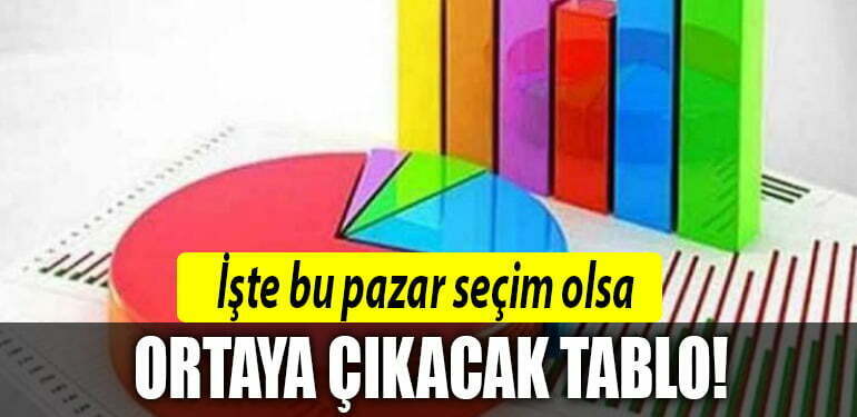 secim anket