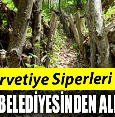 siper