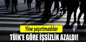 tuik issizlik