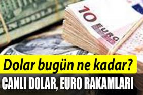 DOLAR EURO