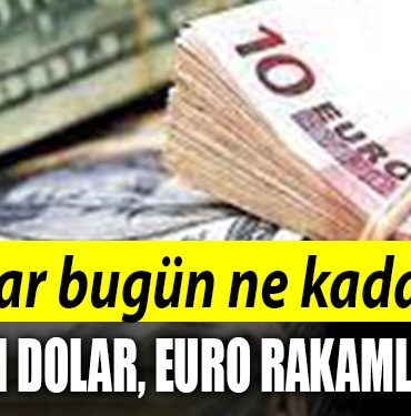 DOLAR EURO