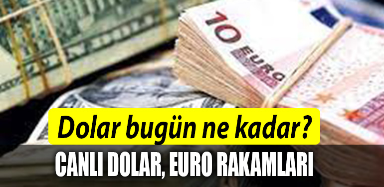 DOLAR EURO