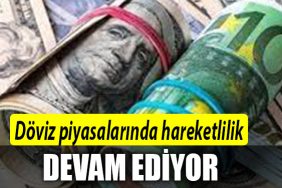 DOVIZ PIYASALARINDA HAREKETLILIK DEVAM EDIYOR
