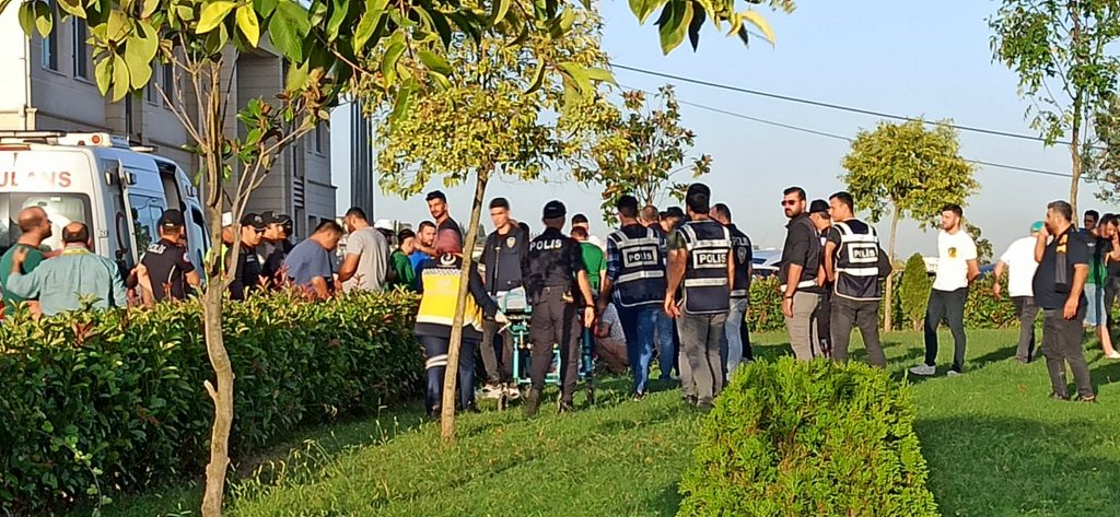 Kocaelispor engin koyun