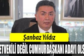 MILLETVEKILI