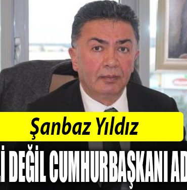 MILLETVEKILI