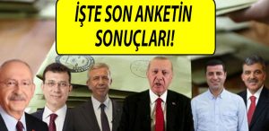 anket 1