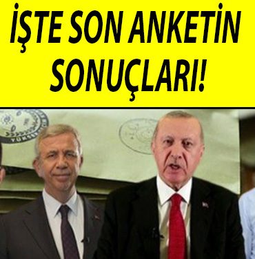anket 1