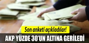 anket eyl